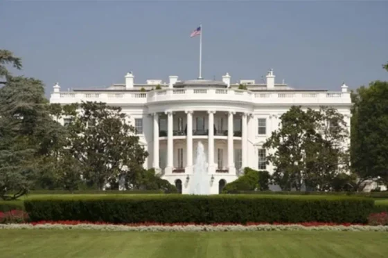 Bitcoin en «modo elecciones»: se dispara la volatilidad