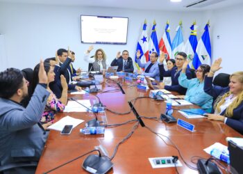La Comisión de Salvadoreños en el Exterior, Legislación y Gobierno aprobó la reforma por unanimidad. Fuente: Asamblea Legislativa El Salvador.