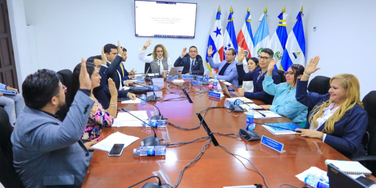 La Comisión de Salvadoreños en el Exterior, Legislación y Gobierno aprobó la reforma por unanimidad. Fuente: Asamblea Legislativa El Salvador.