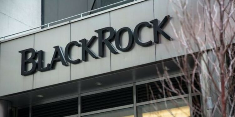BlackRock es la empresa gestora de activos financieros más grande del mundo. Fuente: Pinterest.