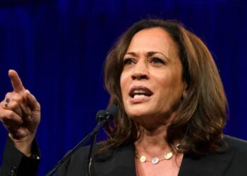 El sitio web de la campaña de Harris no ofrece actualmente formas de donar en criptomonedas. Fuente: Depositphotos.