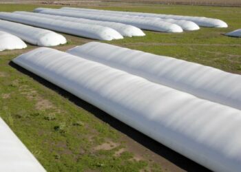 Las silobolsas son una solución para el almacenamiento de granos. Fuente: Infocampo.