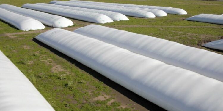 Las silobolsas son una solución para el almacenamiento de granos. Fuente: Infocampo.