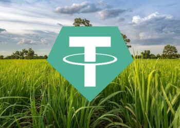 Tether puede aumentar o disminuir su participación en Adecoagro. Fuente: Freepik/Crypto Logos/Composición CriptoNoticias.