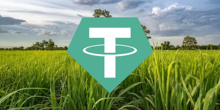 Tether puede aumentar o disminuir su participación en Adecoagro. Fuente: Freepik/Crypto Logos/Composición CriptoNoticias.