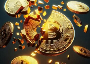 Bitcoin fraccionado