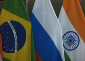 Brics-FMI-desdolarización