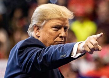 Donald Trump-Bitcoin-elecciones