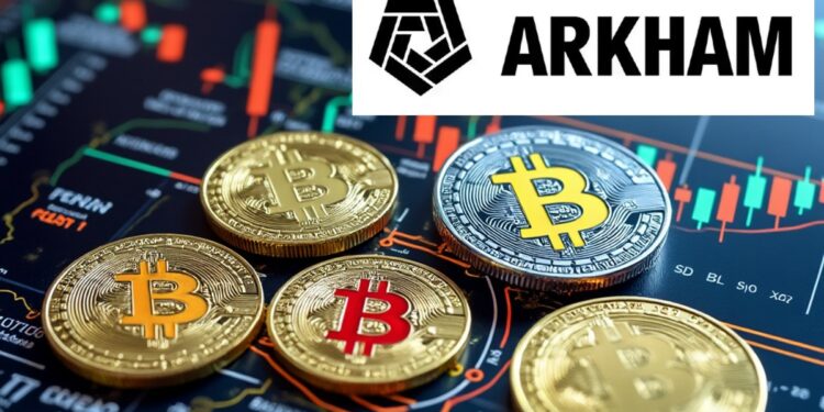 Arkham buscará operar bajo una licencia de zona de libre comercio en República Dominicana. Fuente: Grok/Arkham.