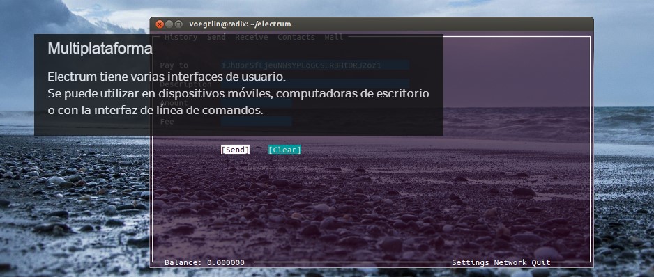Pantalla de inicio del sitio web de Electrum