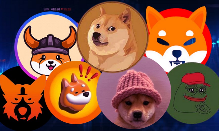 Varios animales memes en círculos de colores.