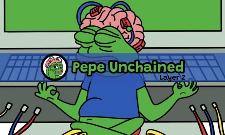 Sapo verde con el cerebro visible.