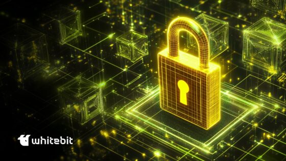WhiteBIT: “Estamos planeando la transición hacia criptografía post-cuántica”