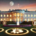 La casa Blanca iluminada con circulos con el logo de Bitcoin distribuidos en el césped.