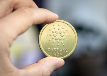 Cardano no estaba muerta, estaba dormida. Fuente: stock.adobe.com