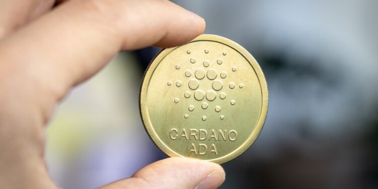 Cardano no estaba muerta, estaba dormida. Fuente: stock.adobe.com