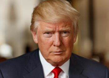 Entre sus promesas específicas para el ecosistema, Trump ha mencionado la liberación de Ross Ulbricht. Fuente: History.com.