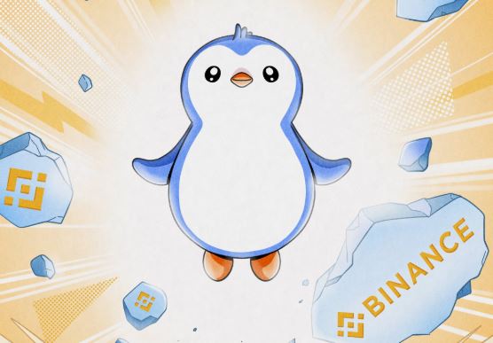 La cryptomonnaie PENGU est lancée sur Binance et son prix augmente de plus de 500%