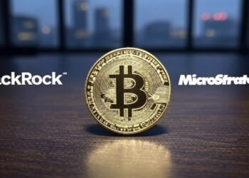 Más de 997.000 BTC están bajo control de esas entidades. Fuente: Grok.