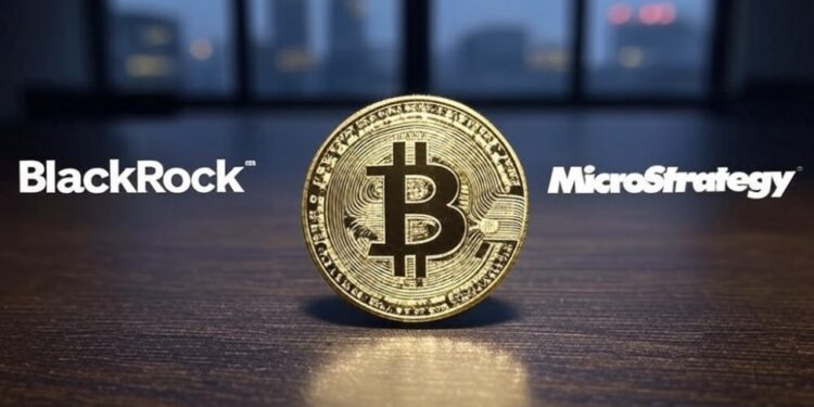 Más de 997.000 BTC están bajo control de esas entidades. Fuente: Grok.
