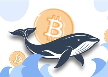 Las ballenas en bitcoin cuentan con una gran cantidad de BTC inmóvil en sus direcciones. Esto puede influir en el mercado.