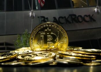 BlackRock ha demostrado una expansión agresiva en su acumulación de bitcoin. Fuente: Composición por CriptoNoticias. anankkml / elements.envato.com; Americasroof / wikipedia.org.