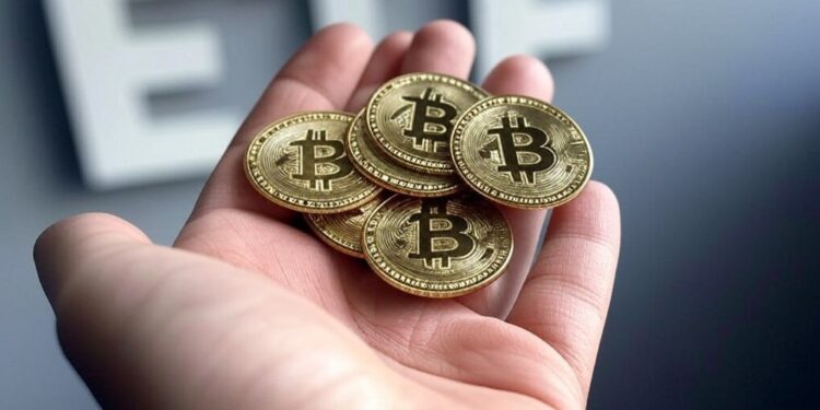 El ETF se encargaría de invertir en empresas que mantienen al menos 1.000 BTC en su tesorería. Fuente: Grok.