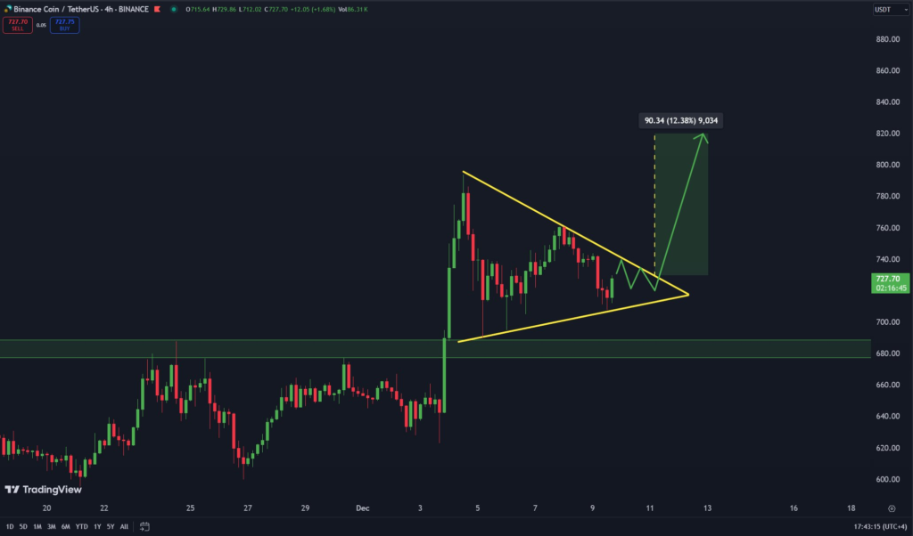 Precio de BNB-USDT. Fuente: The Moon Show.