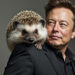 El erizo Shrub es una de las mascotas de Elon Musk. Fuente: imagen generada mediante Grok, por CriptoNoticias.