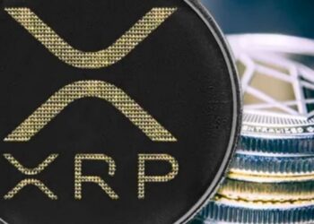 La asignación para inversiones en criptomonedas será de hasta un máximo de 5 millones de dólares. Fuente: Imagen destacada por Bexplus.