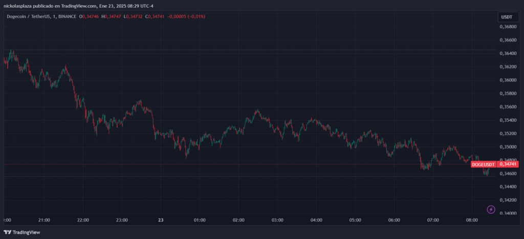 precio de Doge el 23 d enero