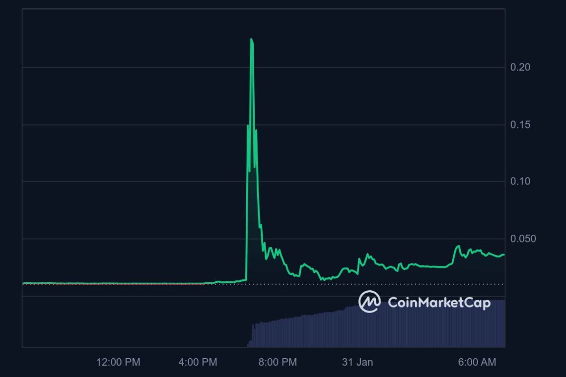 La familia de Elon Musk ya tiene su memecoin oficial