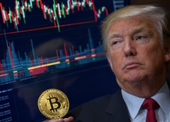 El mercado de bitcoin reacciona a las nuevas medidas del gobierno de Trump. Fuente: Grok.
