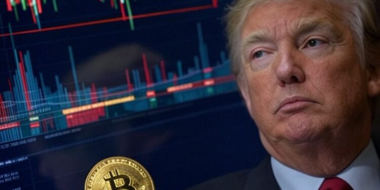 El mercado de bitcoin reacciona a las nuevas medidas del gobierno de Trump. Fuente: Grok.