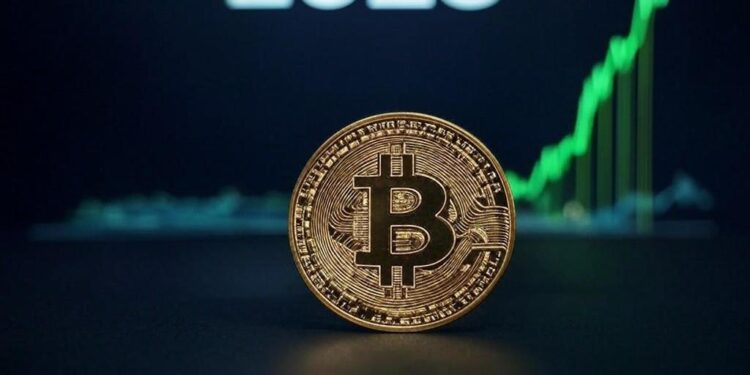 El 2025 arranca positivo para el mercado de bitcoin y criptomonedas. Fuente: Grok.