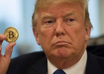 Trump tomó una serie de decisiones a favor de las criptomonedas. Fuente: Grok.