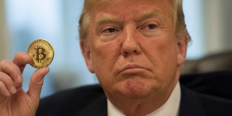 Trump tomó una serie de decisiones a favor de las criptomonedas. Fuente: Grok.