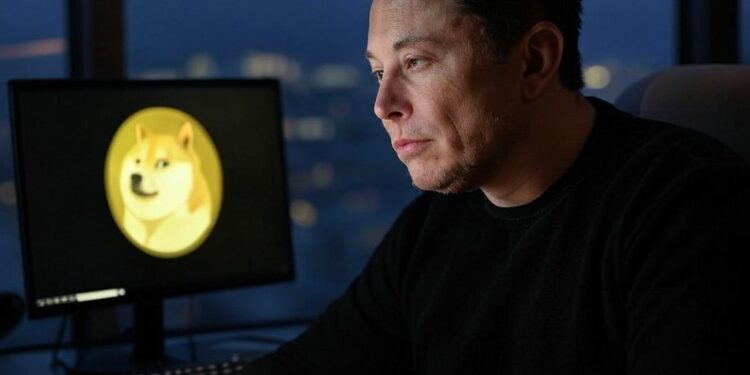 Elon Musk es el titular del Departamento de Eficiencia Gubernamental (DOGE, por sus siglas en inglés). Fuente: GROK.