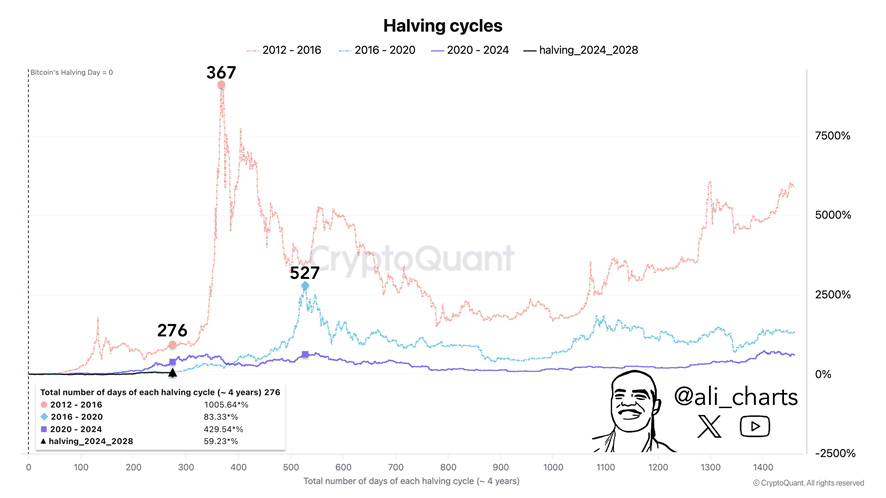 Ciclos alcistas de bitcoin y ciclos de halving