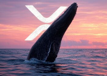 Se detectan grandes movimientos de ballenas de XRP. Fuente: Grok.