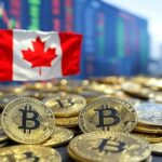 cientos de monedas de bitcoin frente a la bandera de Canadรก.