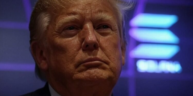 Memecoin de Trump produjo que se dispararan las fees en Solana. Fuente: IA Grok.