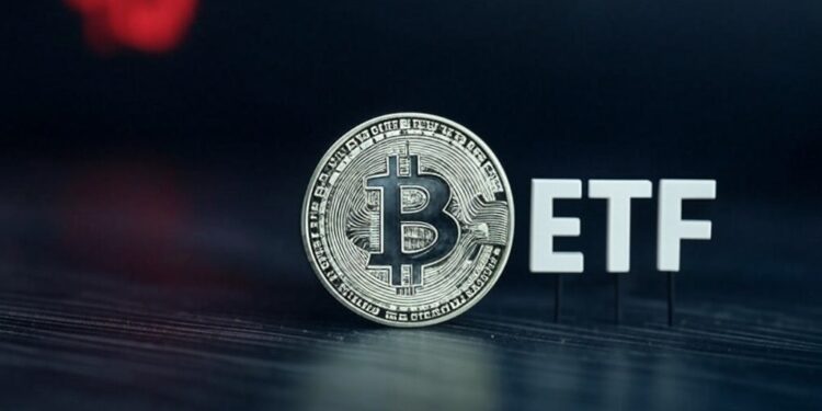 Los fondo de bitcoin  no están siguiendo una tendencia clara en los últimos días. . Fuente: Grok.