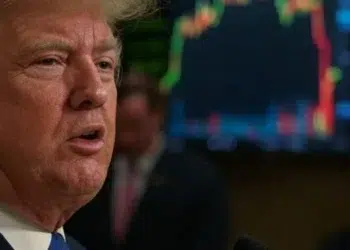 Las memecoins inspiradas en la familia Trump no han dejado indiferente a nadie. Fuente: Grok