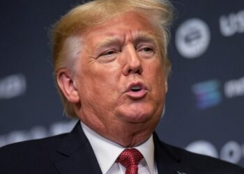 Trump estaría evaluando una reserva de criptomonedas y no solo de bitcoin. Fuente: Grok.
