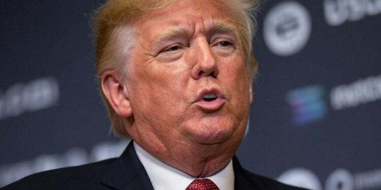 Trump estaría evaluando una reserva de criptomonedas y no solo de bitcoin. Fuente: Grok.