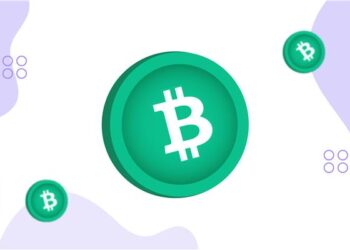 Bitcoin Cash nació como una bifurcación de Bitcoin luego de una extensa batalla entre desarrolladores y entusiastas.
