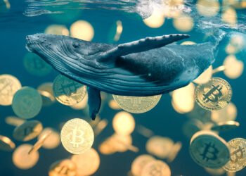 Las ballenas acumulan BTC a pesar de la caída en su precio. Composición por CriptoNoticias. Craig Lambert Photo / James Kalman / stock.adobe.com.