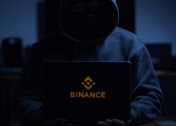 Los estafadores trabajan haciéndose pasar por profesionales de las criptomonedas y del personal de Binance. Fuente: Grok.