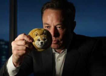 Elon Musk ha influenciado abiertamente a Dogecoin. Fuente: Grok.